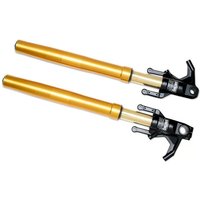 Harley Davidson Screamin’ Eagle / Öhlins Inverted Fork Legs