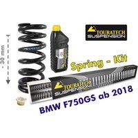 Tieferlegung um 30mm für BMW F750GS ab 2018 Austauschfedern