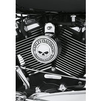 Harley Davidson Willie G Skull Kollektion Hupenabdeckung Chrom 61300622