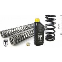 BLACK-T Tieferlegung um -15mm für Harley Davidson FXBR(S) Breakout (2018-2021) Austauschfedern