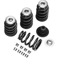 Harley Davidson Screamin' Eagle Performance Ventilfeder-Kit 18013-03A
