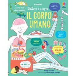 Il Corpo Umano Il Corpo Umano