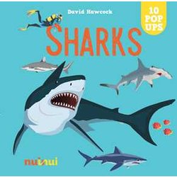 Sharks Sharks
