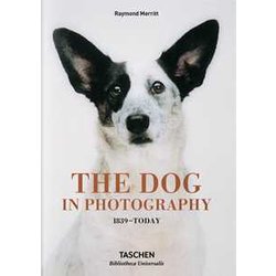 The Dog In Photography 1839–Today The Dog In Photography 1839–Today