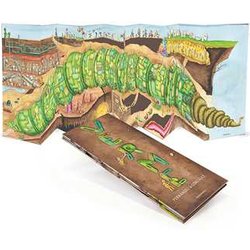 Verme. Ediz. A Colori Verme. Ediz. A Colori