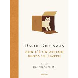 Non C'è Un Attimo Senza Un Gatto Non C'è Un Attimo Senza Un Gatto