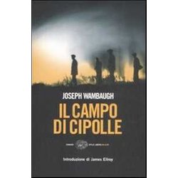Il Campo Di Cipolle Il Campo Di Cipolle