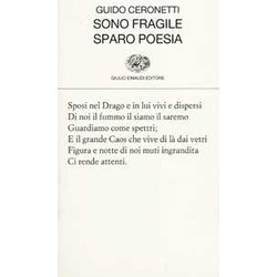 Sono Fragile Sparo Poesia