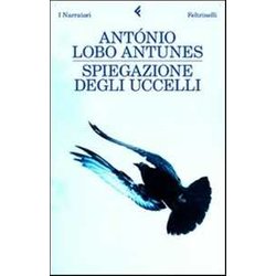 Spiegazione Degli Uccelli