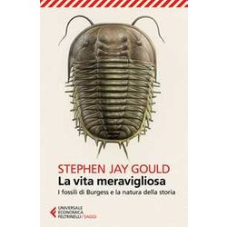 La Vita Meravigliosa