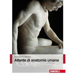 Atlante Di Anatomia Umana Atlante Di Anatomia Umana