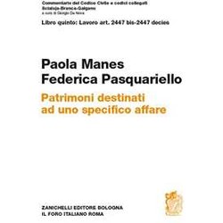 Patrimoni Destinati Ad Uno Specifico Affare. Artt. 2447 Bis-2447 Decies Patrimoni Destinati Ad Uno Specifico Affare. Artt. 2447 Bis-2447 Decies