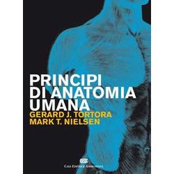 Principi Di Anatomia Umana Principi Di Anatomia Umana