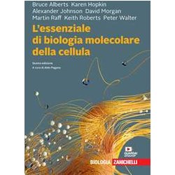L'essenziale Di Biologia Molecolare Della Cellula L'essenziale Di Biologia Molecolare Della Cellula