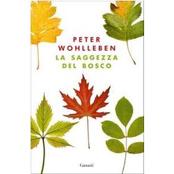 La Saggezza Del Bosco La Saggezza Del Bosco
