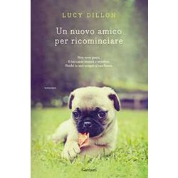 Un Nuovo Amico Per Ricominciare Un Nuovo Amico Per Ricominciare
