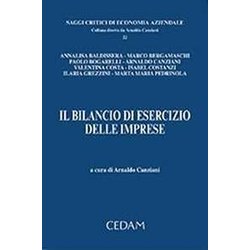 Bilancio Di Esercizio Delle Imprese Bilancio Di Esercizio Delle Imprese
