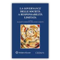 Governance Delle Societa' A Responsabilita' Limitata Governance Delle Societa' A Responsabilita' Limitata