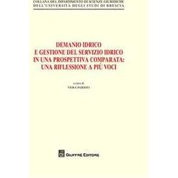 Demanio Idrico E Gestione Del Servizio Idrico Demanio Idrico E Gestione Del Servizio Idrico