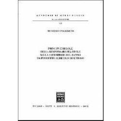 Sangermano Principi Regole Resp.Civile Sangermano Principi Regole Resp.Civile