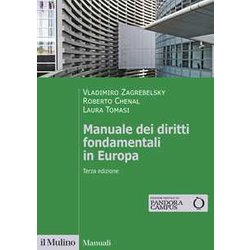 Manuale Dei Diritti Fondamentali In Europa Manuale Dei Diritti Fondamentali In Europa
