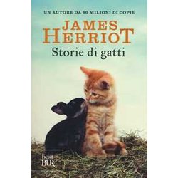 Storie Di Gatti Storie Di Gatti