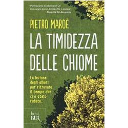 La Timidezza Delle Chiome La Timidezza Delle Chiome