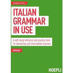Italian Grammar In Use. A Self-Study Reference And Practice Book For Elementary And Intermediate Learners