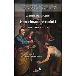 Non Rimanere Caduti. Le Quindici Malattie Dell'amore Cristiano Secondo Papa Francesco. Itinerario Biblico Non Rimanere Caduti. Le Quindici Malattie Dell'amore Cristiano Secondo Papa Francesco. Itinerario Biblico