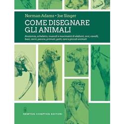 Come disegnare gli animali