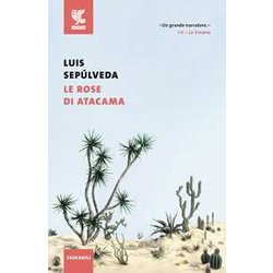 Le Rose Di Atacama Le Rose Di Atacama