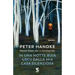 In Una Notte Buia Uscii Dalla Mia Casa Silenziosa In Una Notte Buia Uscii Dalla Mia Casa Silenziosa