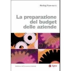 La Preparazione Del Budget Delle Aziende La Preparazione Del Budget Delle Aziende