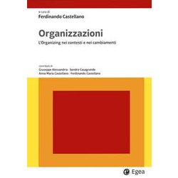 Organizzazioni. L'organizing Nei Contesti E Nei Cambiamenti Organizzazioni. L'organizing Nei Contesti E Nei Cambiamenti