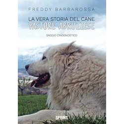 La Vera Storia Del Cane Pastore Abruzzese La Vera Storia Del Cane Pastore Abruzzese
