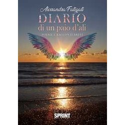 Diario di un paio d'ali