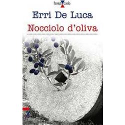 Nocciolo D'oliva Nocciolo D'oliva