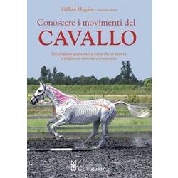 Conoscere I Movimenti Del Cavallo Conoscere I Movimenti Del Cavallo