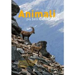 Gli Animali Più Belli Delle Alpi. Mammiferi, Uccelli, Anfibi E Rettili Che Si Incontrano Durante Le Escursioni In Montagna. Ediz. A Colori Gli Animali Più Belli Delle Alpi. Mammiferi, Uccelli, Anfibi E Rettili Che Si Incontrano Durante Le Escursioni In Montagna. Ediz. A Colori