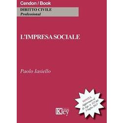 L'impresa Sociale Dopo Il Decreto Legislativo 3 Luglio 2017, N. 112