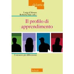 Il Profilo Di Apprendimento Il Profilo Di Apprendimento