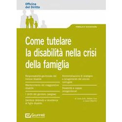 Come Tutelare La Disabilità Nella Crisi Della Famiglia Come Tutelare La Disabilità Nella Crisi Della Famiglia