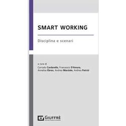 Smart Working - Disciplina E Scenari Smart Working - Disciplina E Scenari