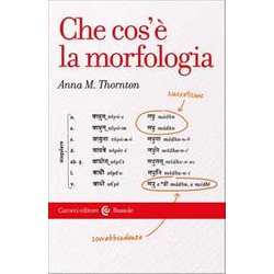 Che Cos'e' La Morfologia
