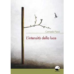 L'intensità Della Luce L'intensità Della Luce