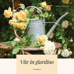 Vite In Giardino Vite In Giardino