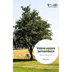 Volevo Essere Pernambuco Volevo Essere Pernambuco