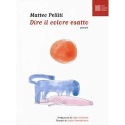 Dire Il Colore Esatto