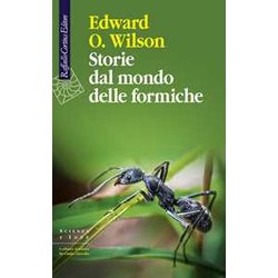 Storie Dal Mondo Delle Formiche Storie Dal Mondo Delle Formiche