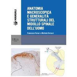 Anatomia Macroscopica E Generalità Strutturali Del Midollo Spinale Dell'uomo Anatomia Macroscopica E Generalità Strutturali Del Midollo Spinale Dell'uomo